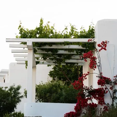 Rhenia Ξενοδοχείο