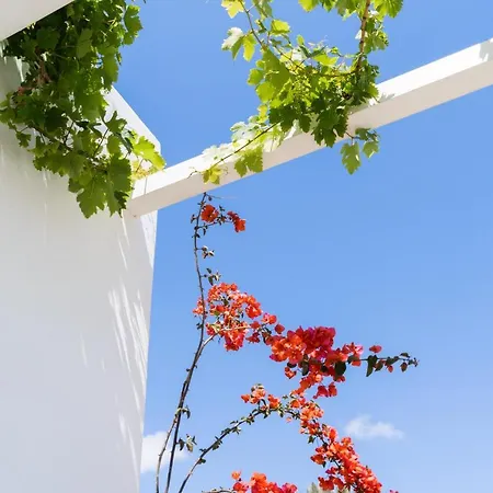 Hotel Rhenia Tourlos