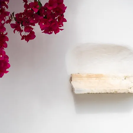 Rhenia מלון טורלוס