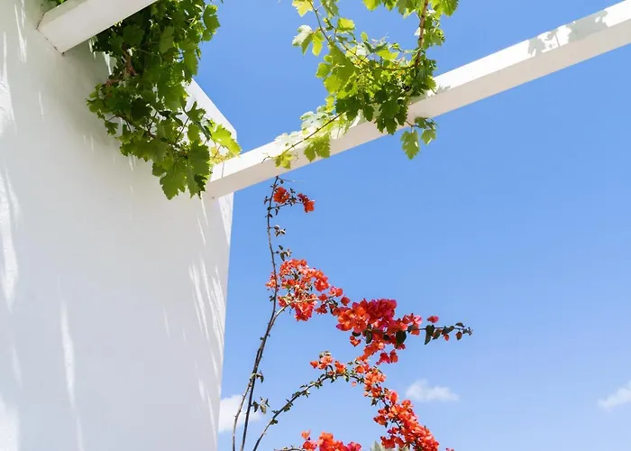 Hotell Rhenia Tourlos