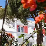 Rhenia Hotel 4*