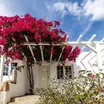 Hotel Rhenia Tourlos