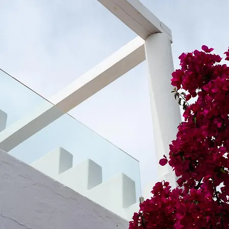 ريهينيا تورلوس