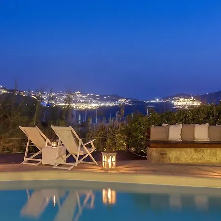 מלון Rhenia Mykonos & 4*
