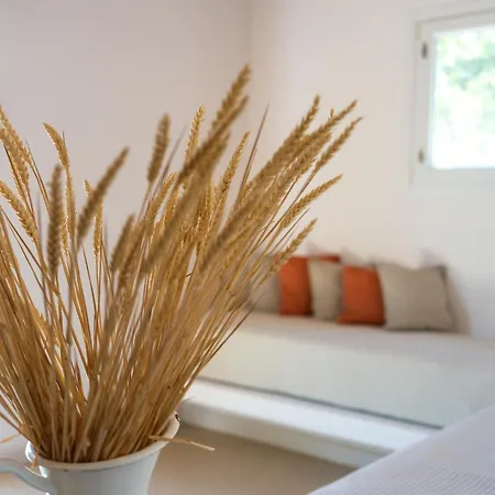 מלון Rhenia Mykonos & טורלוס