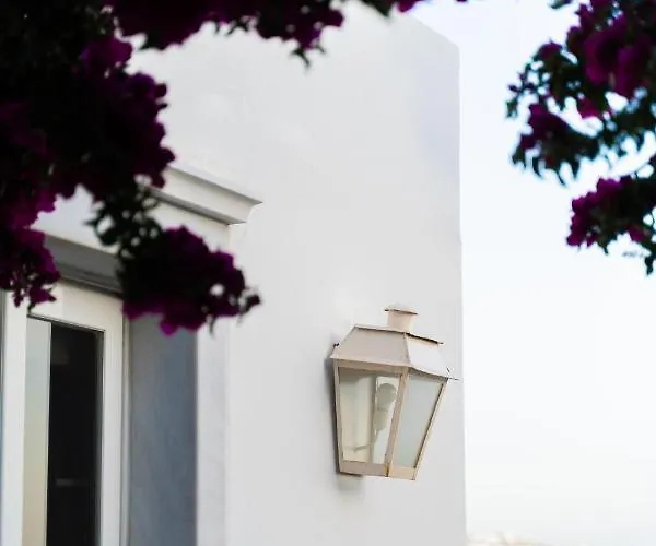 ريهينيا فندق 4*