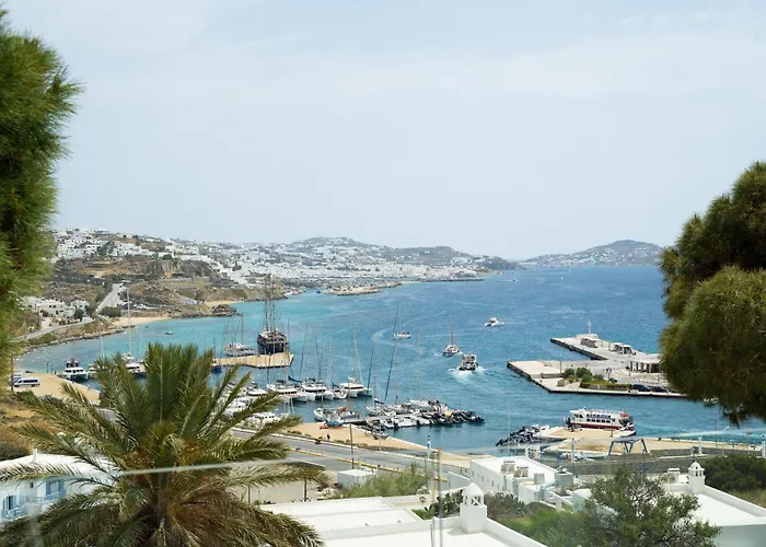 ريهينيا فندق 4*