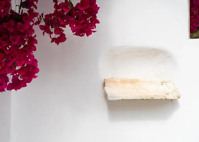 ريهينيا فندق تورلوس