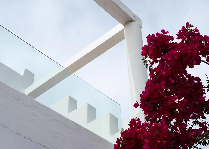 ريهينيا تورلوس